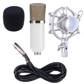 BM-700 Professional Condenser Microphone Wired 3.5mm Computer Mic BM 700 With Metal Shock Mount For Studios Video Recording PC - techtoyzone