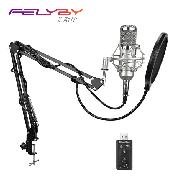 FELYBY Professional bm 800 Condenser Microphone for computer Audio Studio Vocal Recording Mic KTV Karaoke + Microphone stand - techtoyzone