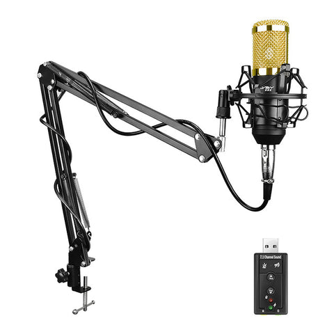 FELYBY Professional bm 800 Condenser Microphone for computer Audio Studio Vocal Recording Mic KTV Karaoke + Microphone stand - techtoyzone